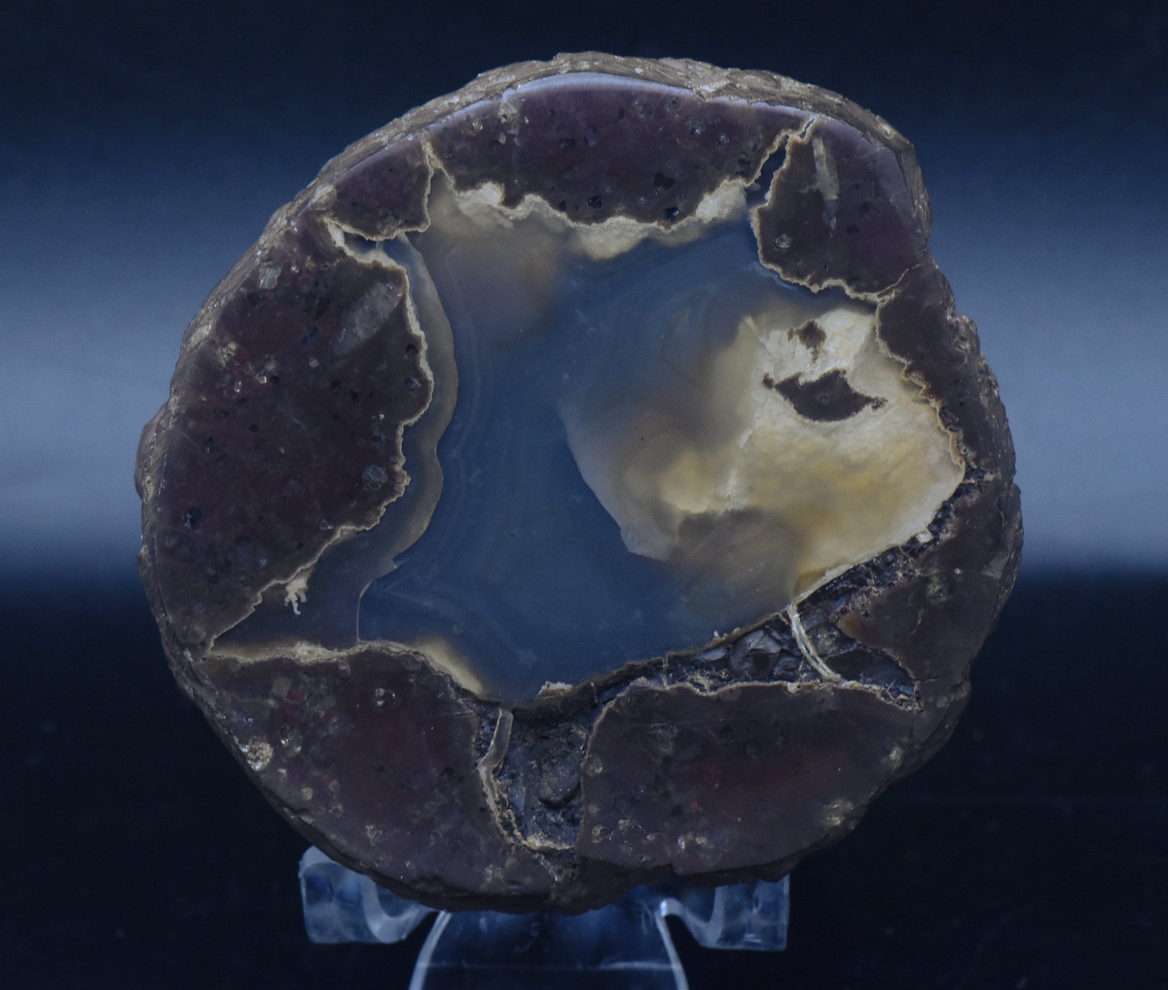 Polished Thunderegg Half - 298g