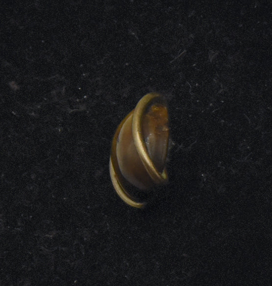 Tiger's Eye Wrapped in Wire Jewelry Part