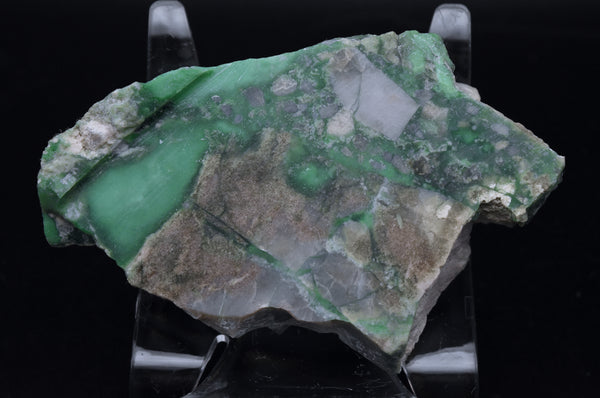 Slab of Variscite - Utah, USA