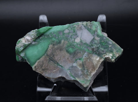 Slab of Variscite - Utah, USA