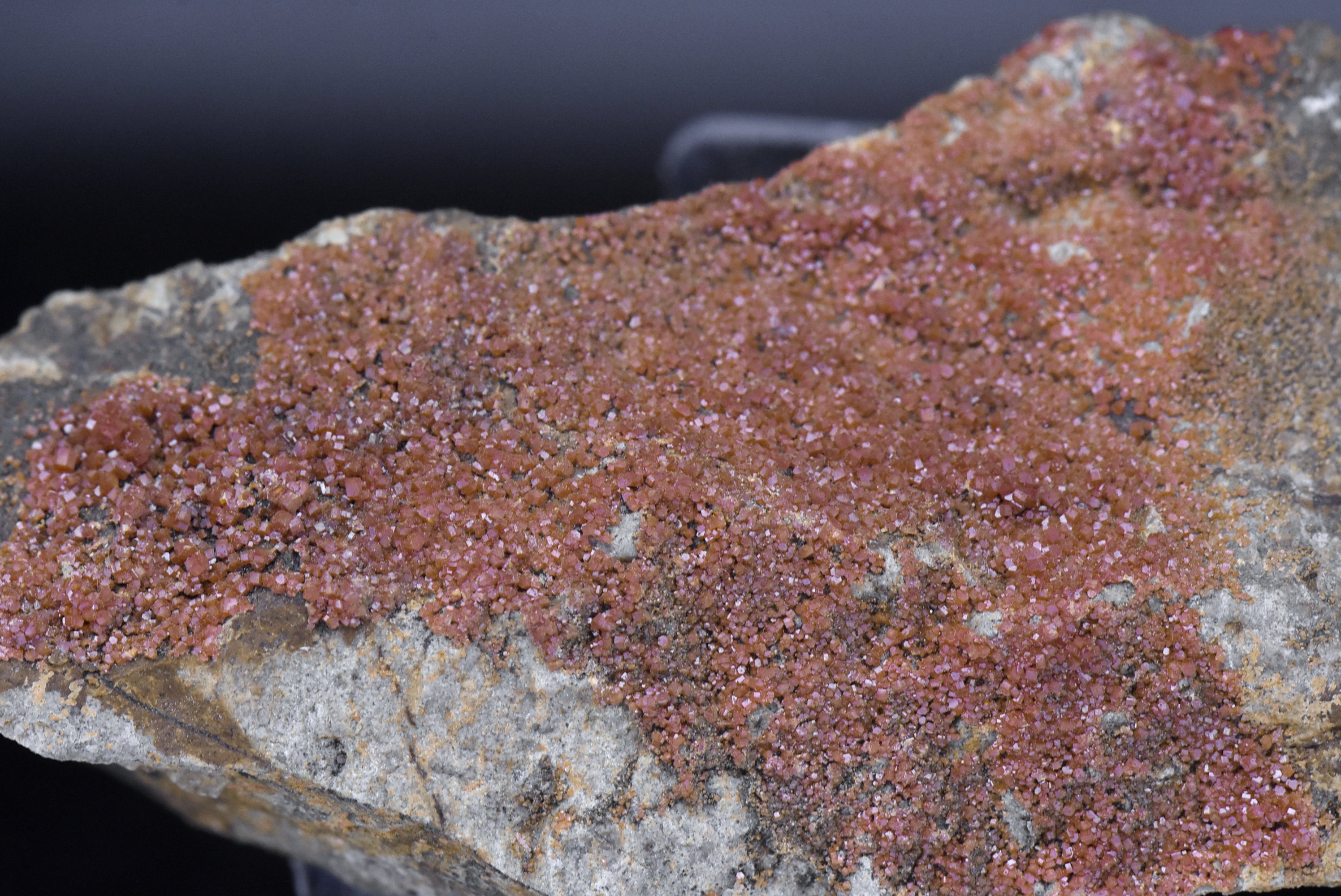 Vanadinite Crystals on Matrix Mineral Specimen - Arizona