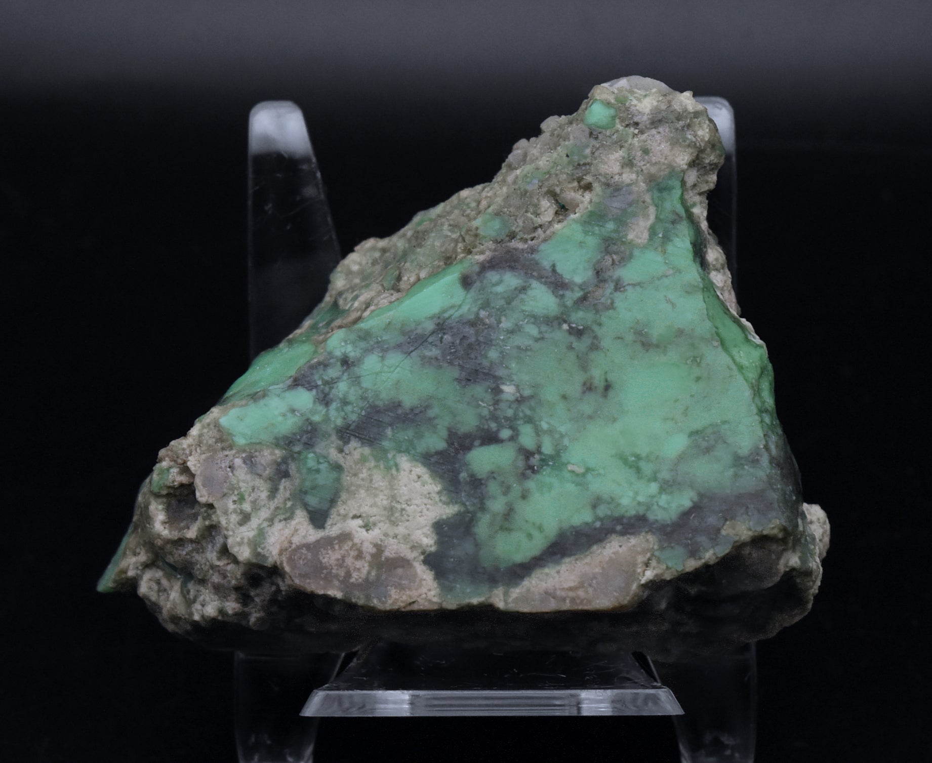 Slab of Variscite - Utah, USA