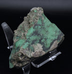 Slab of Variscite - Utah, USA