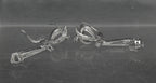 Vintage 10k White Gold with Diamonds Earrings