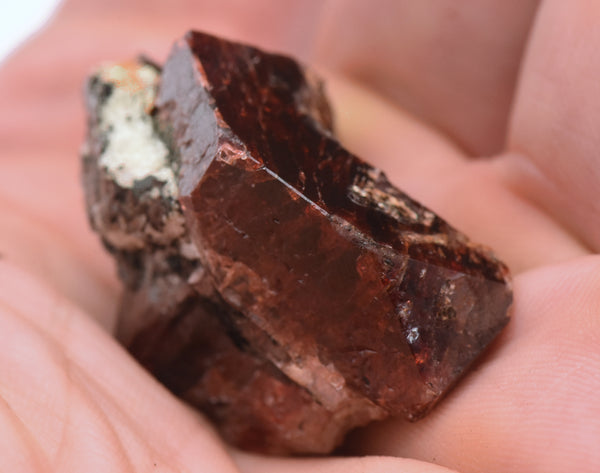Unusual Red Zircon Bent Crystal Mineral Specimen