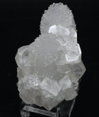 Apophylite Crystal Cluster with Druze - India