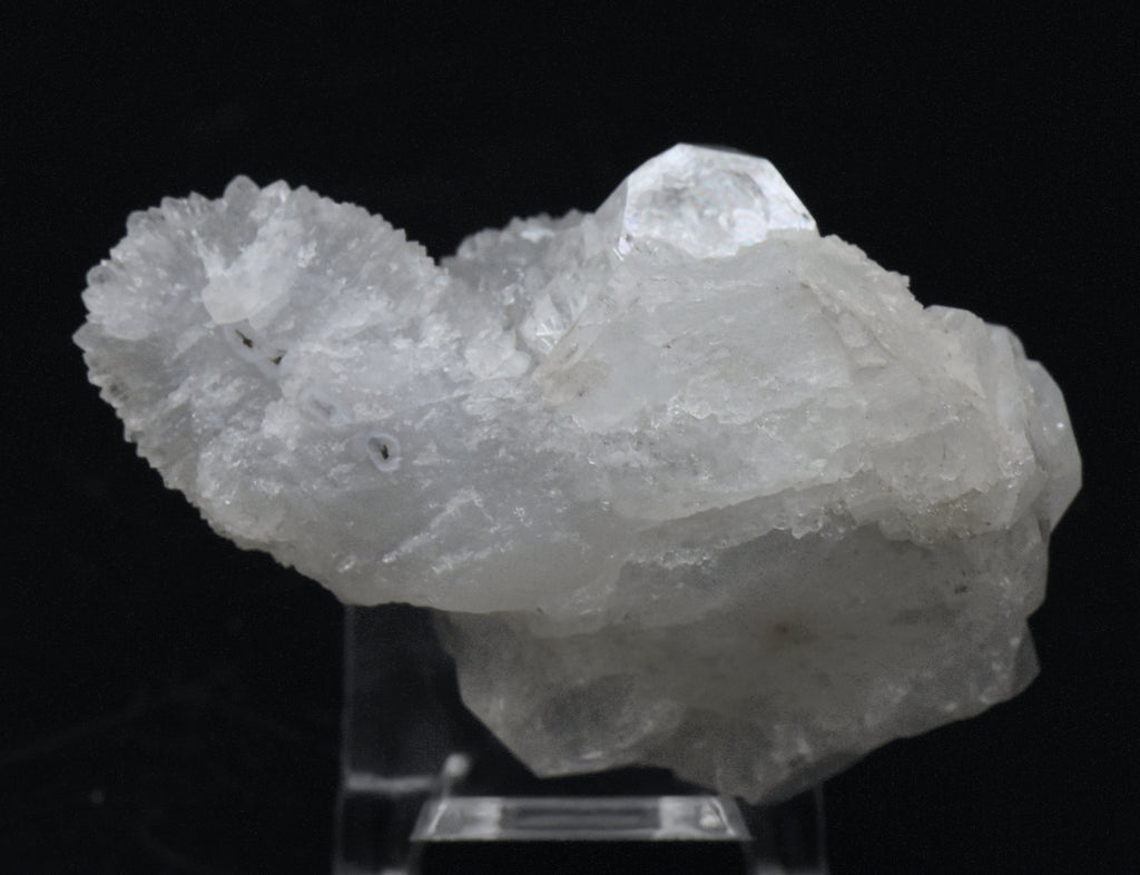 Apophylite Crystal Cluster with Druze - India