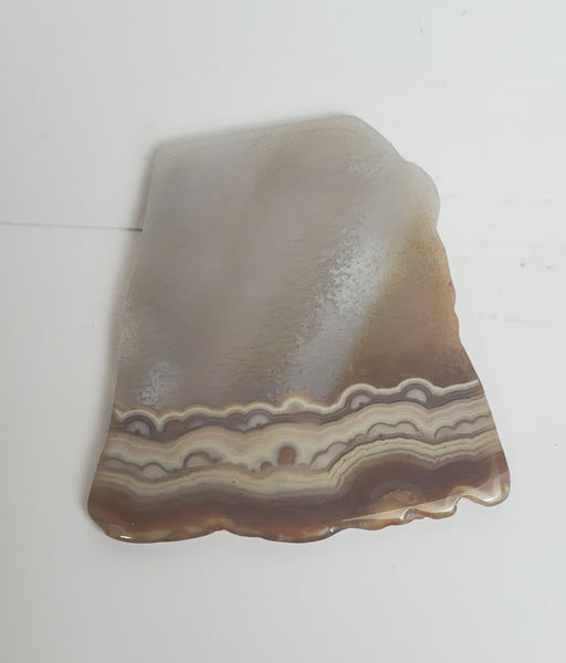 Polished Agate Slice