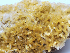 'Golden' Ferroan Dolomite! Mineral Specimen - Missouri, USA
