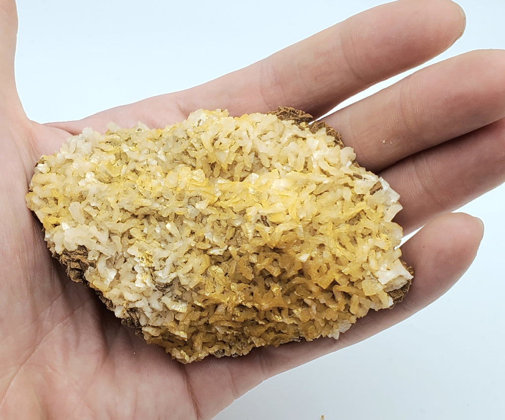 'Golden' Ferroan Dolomite! Mineral Specimen - Missouri, USA