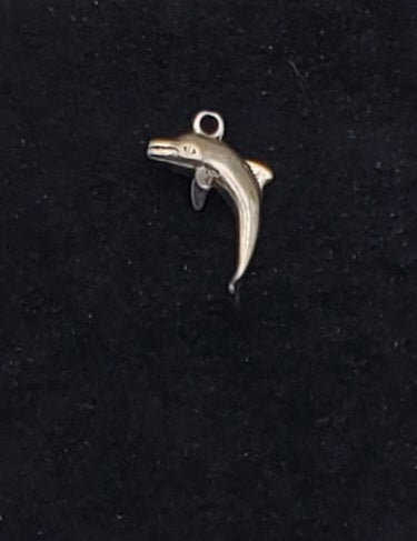 Dolphin Charm
