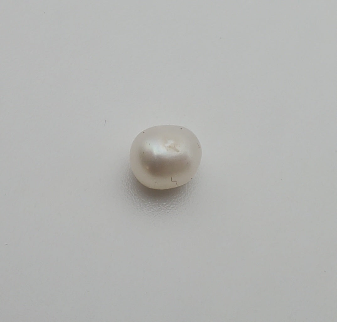 Dolphin with Loose Pearl Hinged Pendant