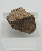 Rutile Quartz Crystal Cluster Mineral Specimen on Matrix - Pakistan