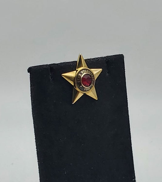 Gold Tone Red Crystal Star VBH Star Volunteer Pin