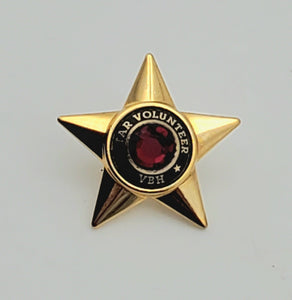 Gold Tone Red Crystal Star VBH Star Volunteer Pin