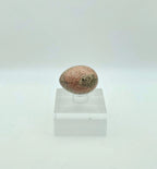 Unakite Polished Egg