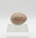Unakite Polished Egg