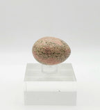 Unakite Polished Egg