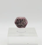 Ruby Crystal Mineral Specimen