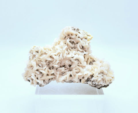 Dolomite Crystal Cluster Mineral Specimen with Druze Layer - Missouri, USA