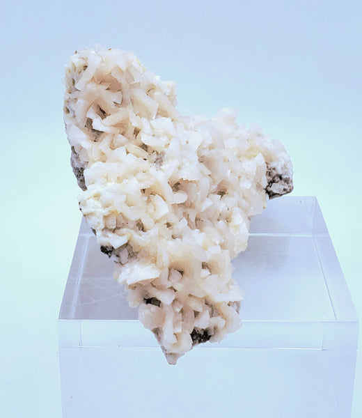 Dolomite Crystal Cluster Mineral Specimen with Druze Layer - Missouri, USA