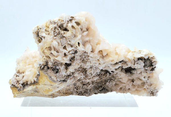 Dolomite Crystal Cluster Mineral Specimen with Druze Layer - Missouri, USA