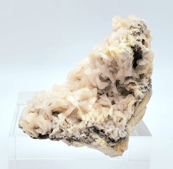 Dolomite Crystal Cluster Mineral Specimen with Druze Layer - Missouri, USA