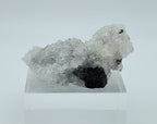 Quartz with Chalcopyrite Crystal Cluster Mineral Specimen - Missouri, USA