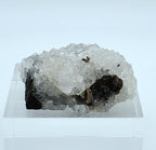 Quartz with Chalcopyrite Crystal Cluster Mineral Specimen - Missouri, USA