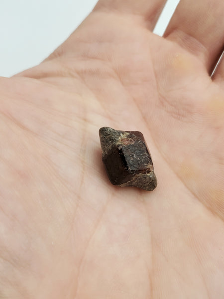 Garnet Crystal Specimen - Afghanistan