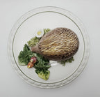 Vintage Hedgehog Hand Decorated Italian Ceramic Lidded Dish