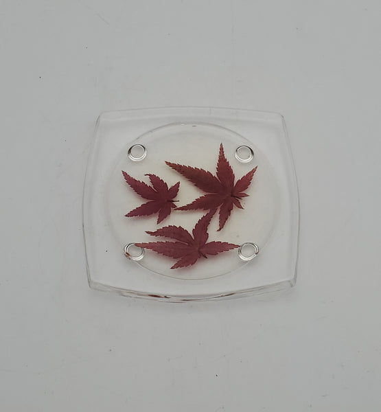 Vintage REAL Japanese Maple Leaves Acrylic Tray