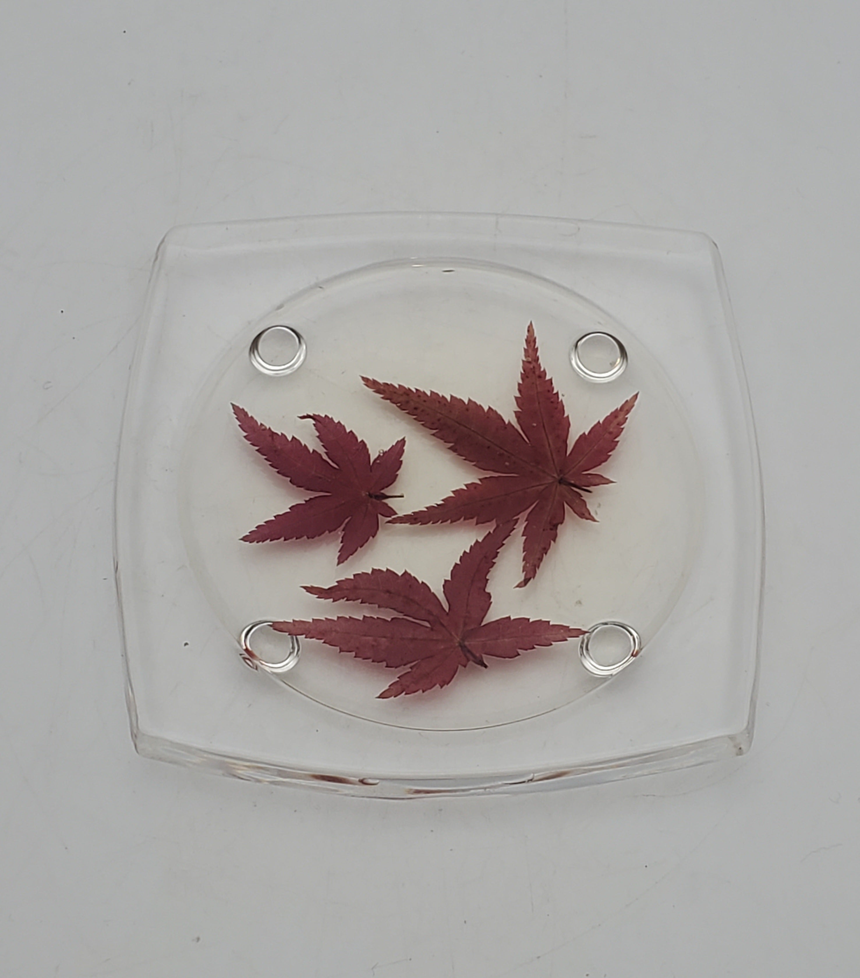 Vintage REAL Japanese Maple Leaves Acrylic Tray