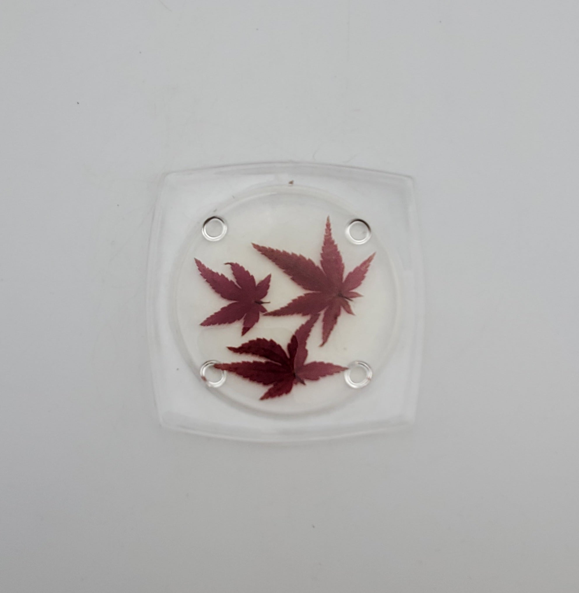 Vintage REAL Japanese Maple Leaves Acrylic Tray