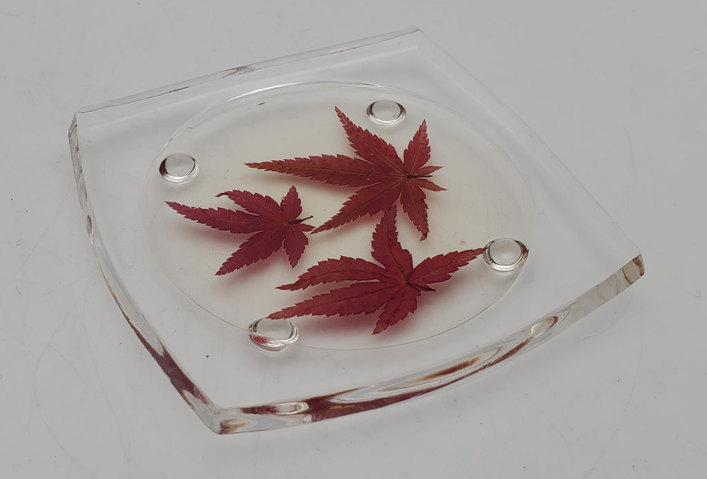 Vintage REAL Japanese Maple Leaves Acrylic Tray