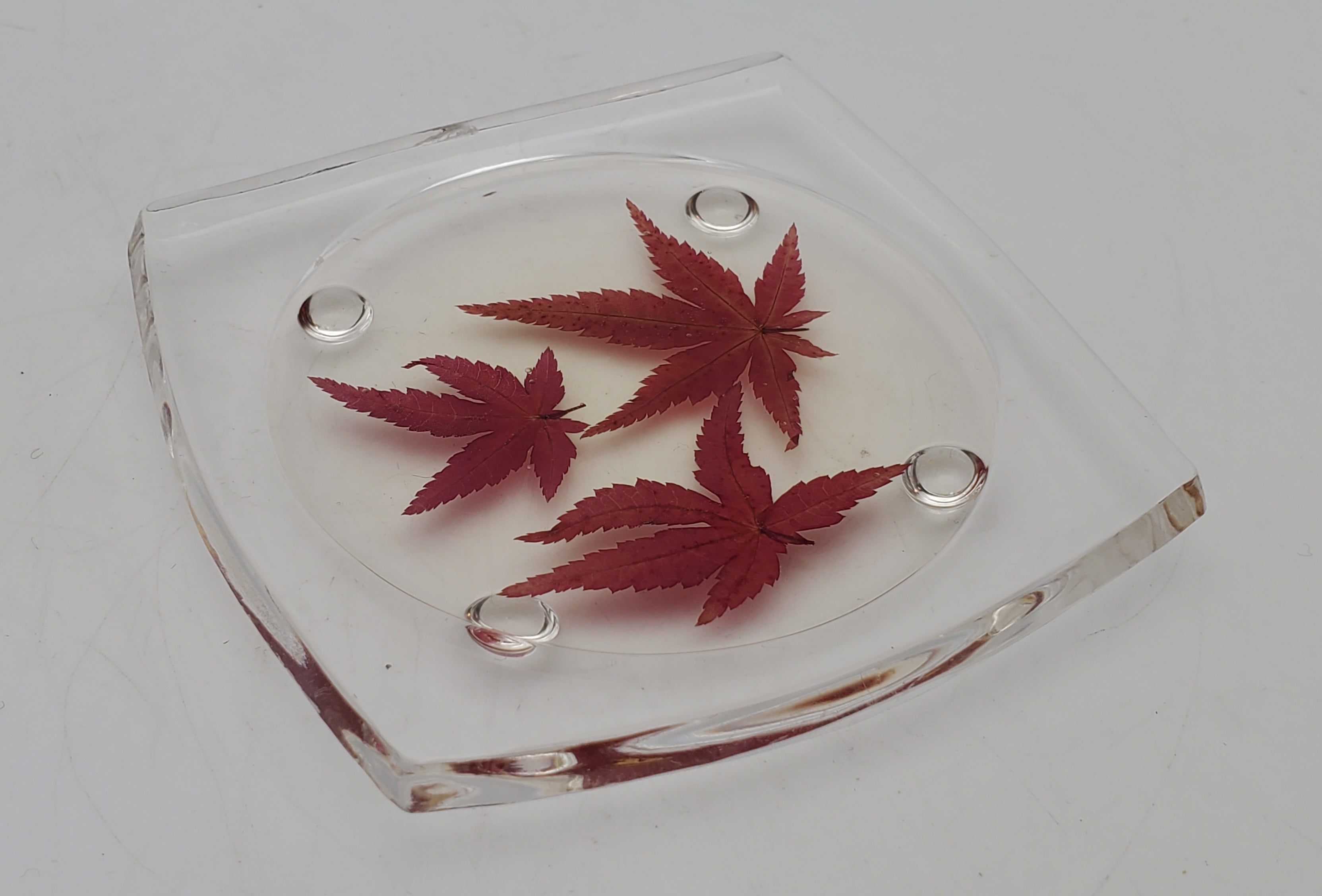Vintage REAL Japanese Maple Leaves Acrylic Tray