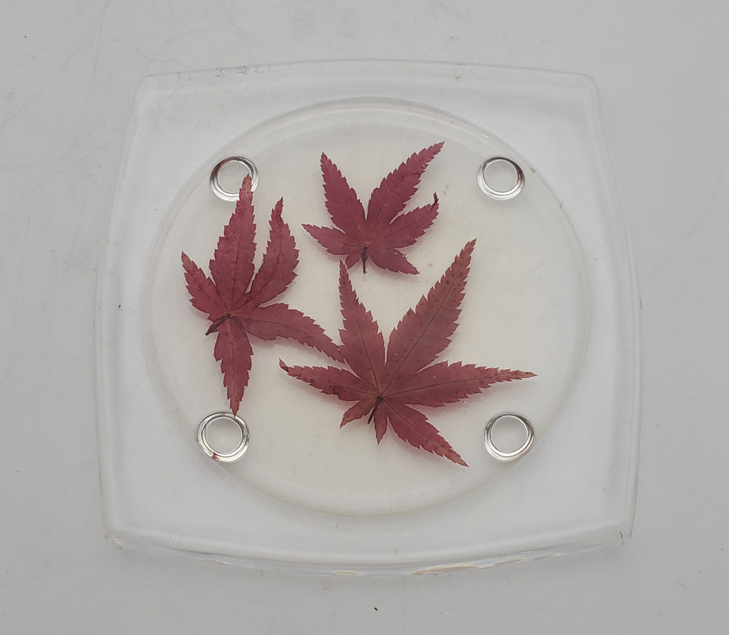 Vintage REAL Japanese Maple Leaves Acrylic Tray