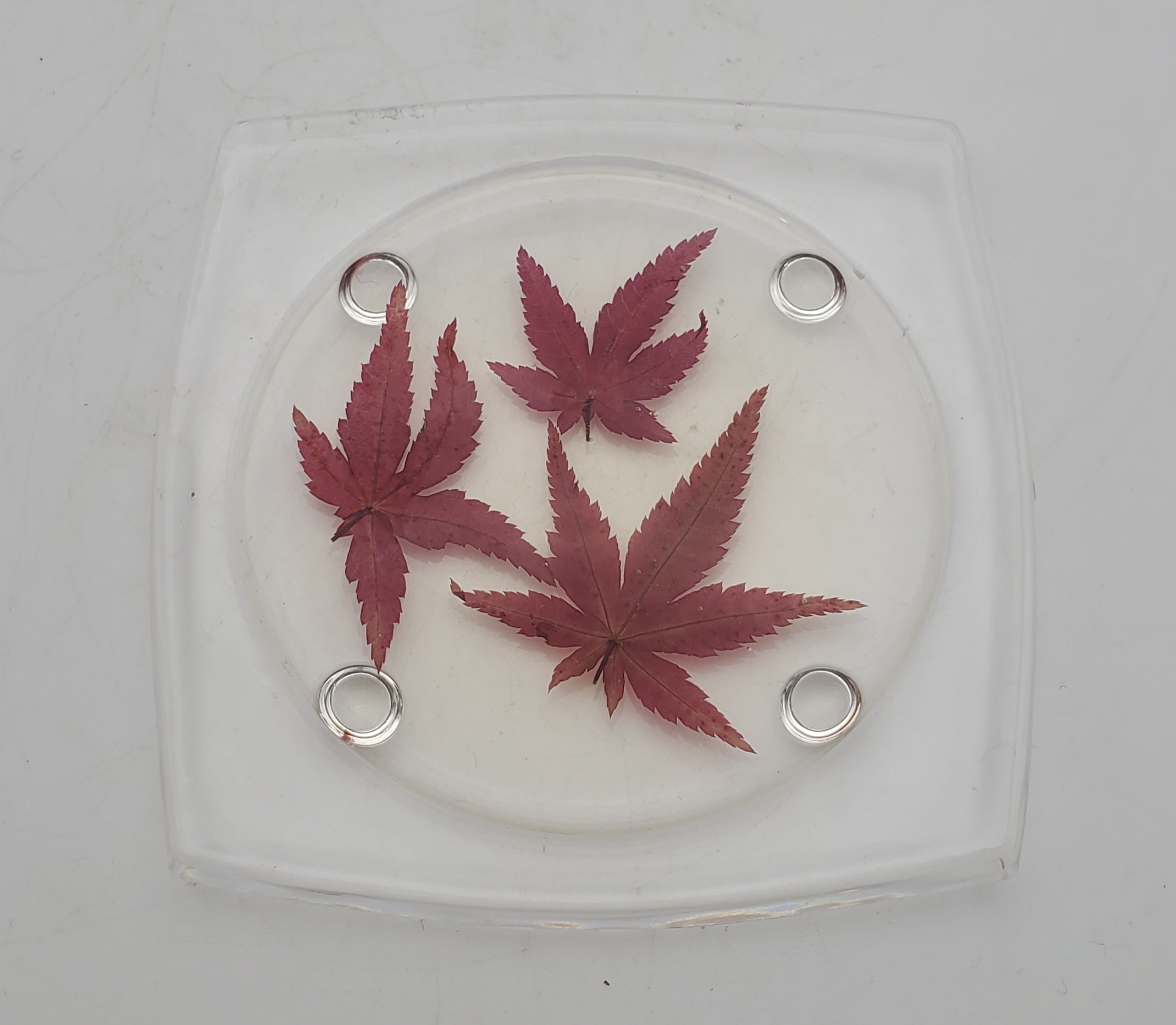 Vintage REAL Japanese Maple Leaves Acrylic Tray