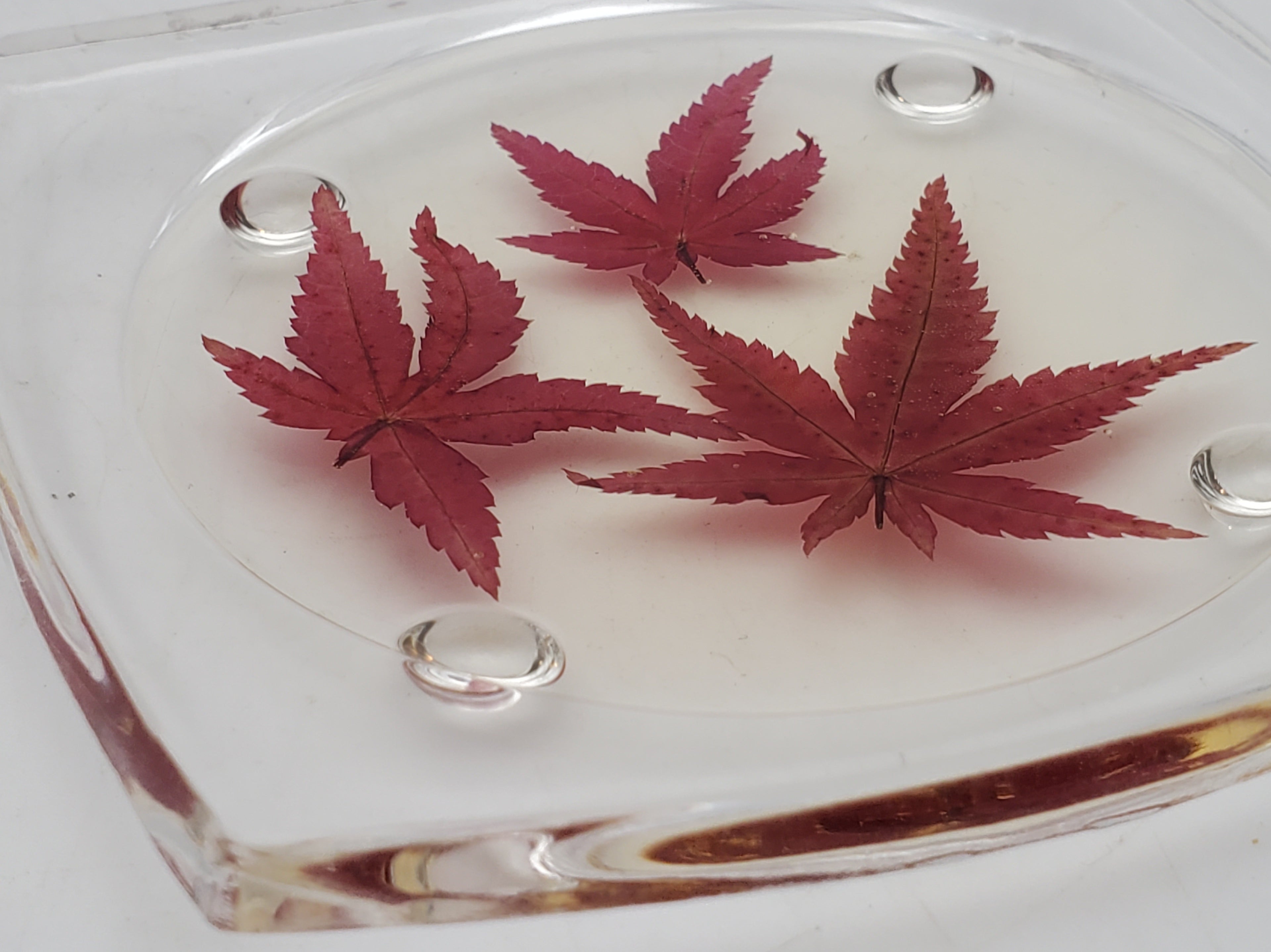 Vintage REAL Japanese Maple Leaves Acrylic Tray