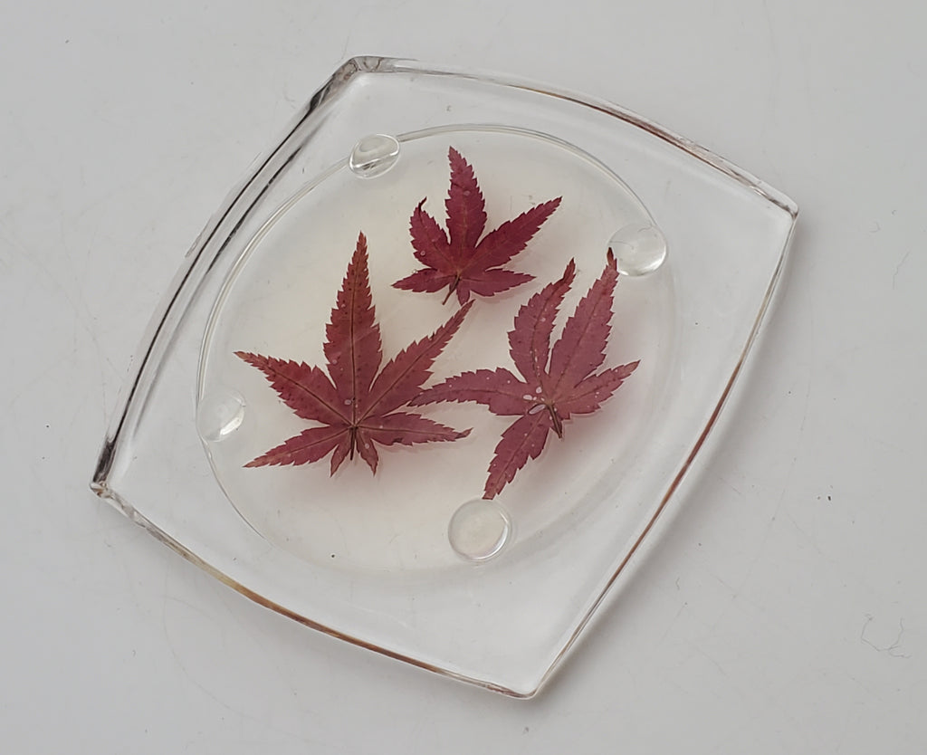 Vintage REAL Japanese Maple Leaves Acrylic Tray