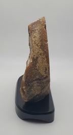 Polished Carved Geode Slice on Stand