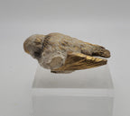 Vintage Ceramic Hand Painted Gilt Bird Ornament