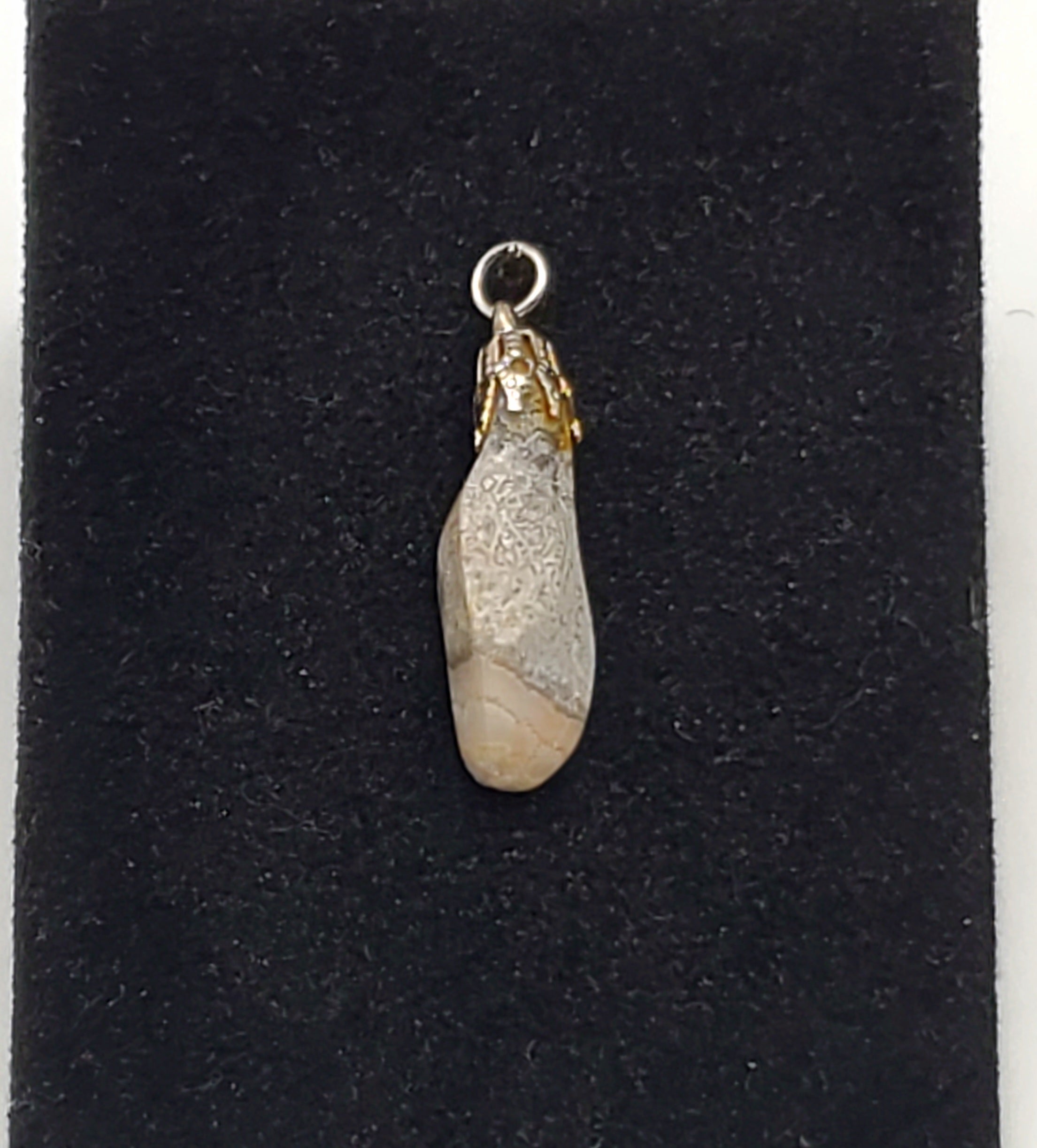 Tumbled Crazy Lace Jasper Pendant