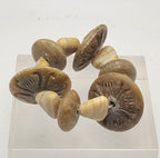 Carved Soapstone and Glass Tiny Bracelet