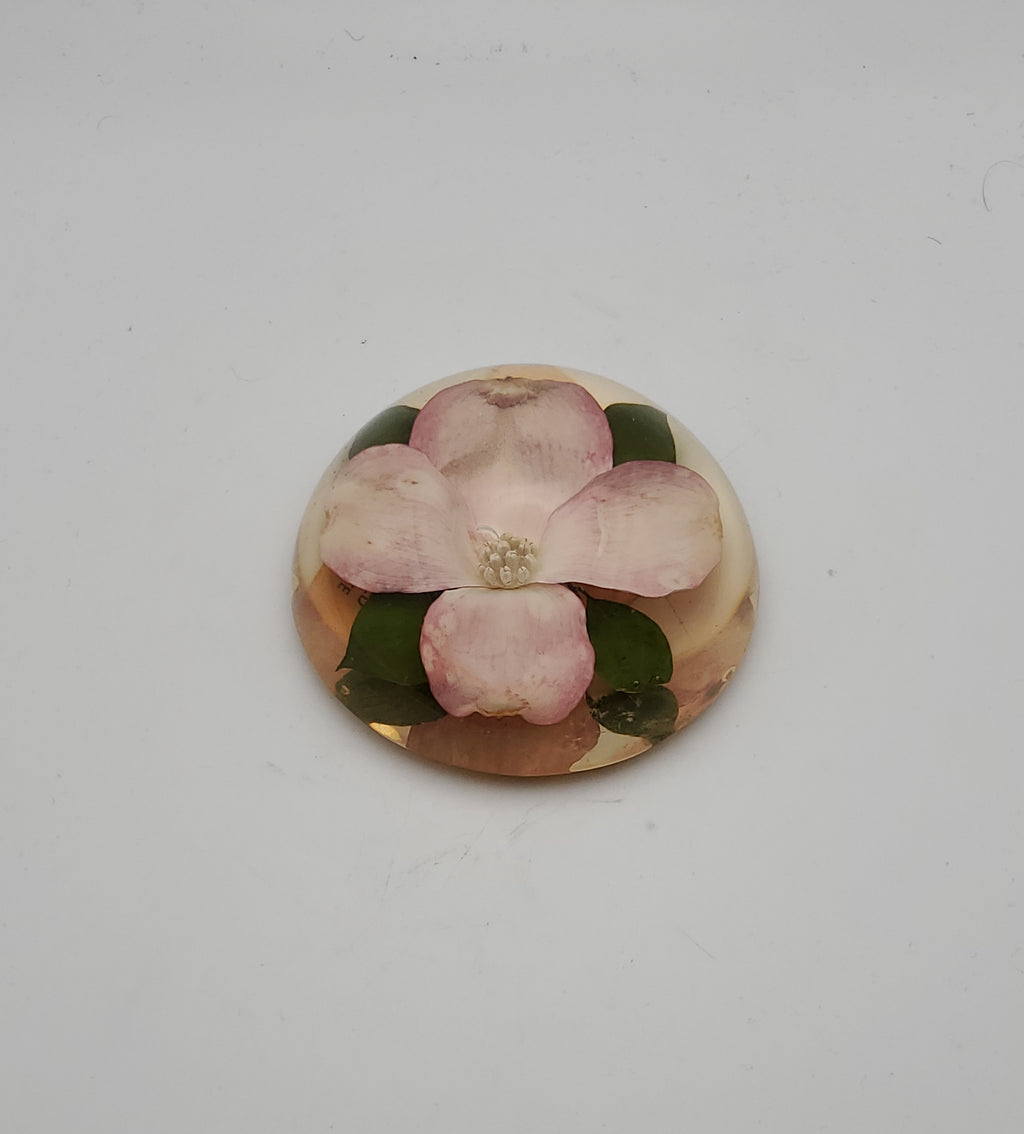 Vintage Dogwood Flower Encase in Resin Dome Paperweight
