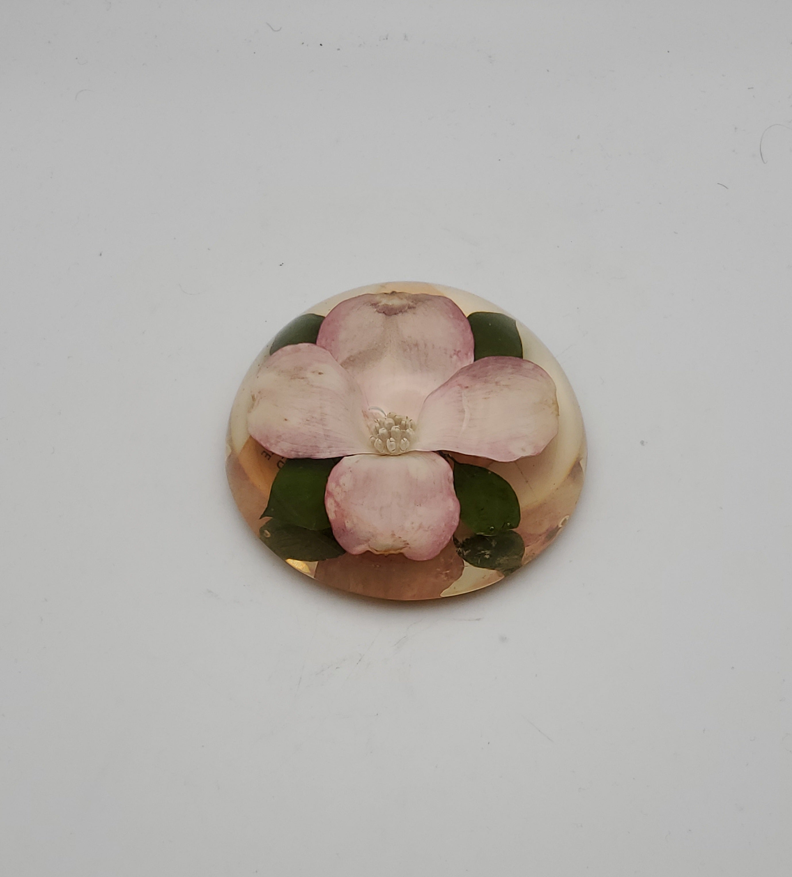 Vintage Dogwood Flower Encase in Resin Dome Paperweight