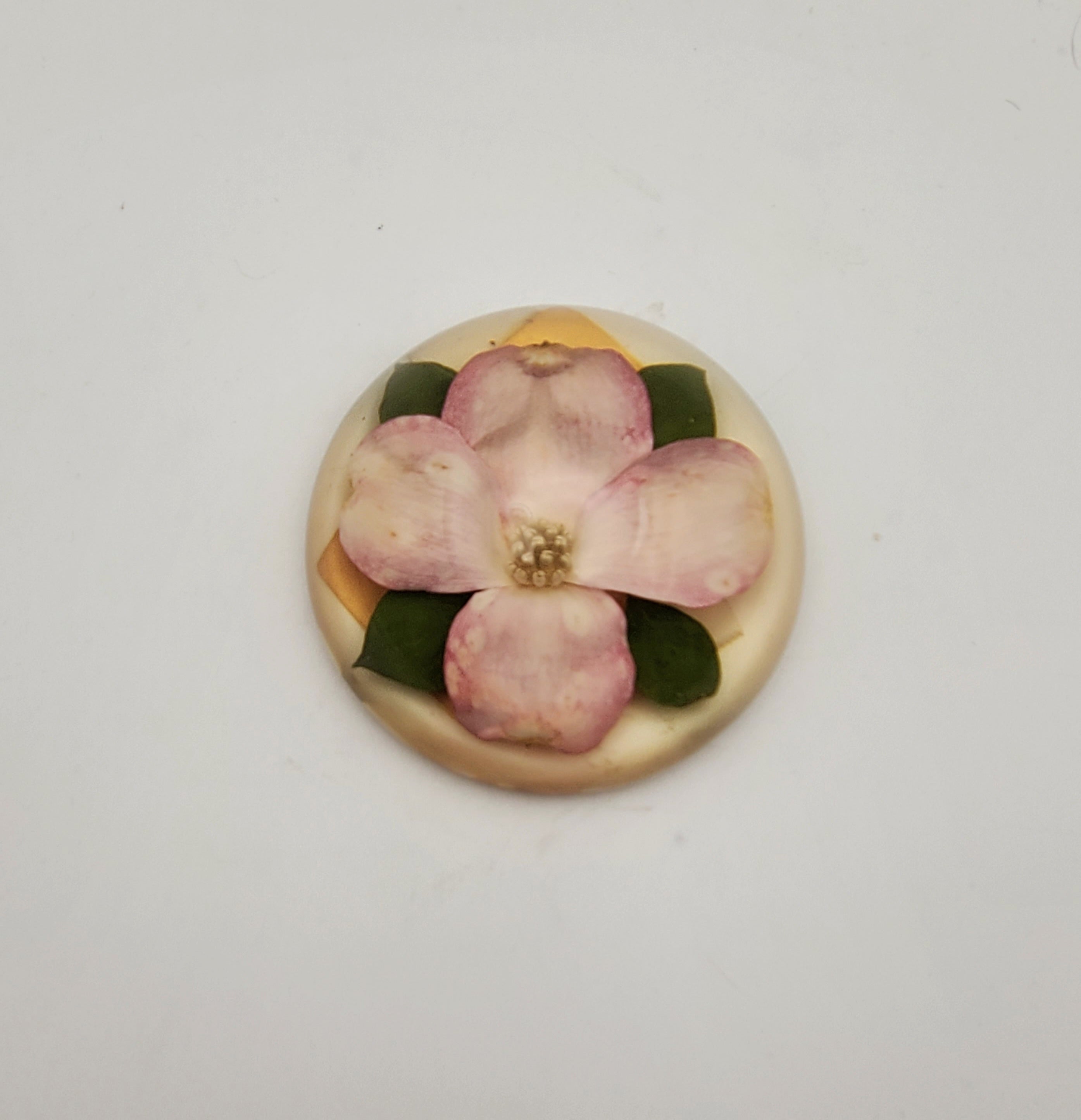 Vintage Dogwood Flower Encase in Resin Dome Paperweight