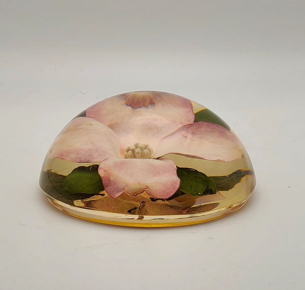 Vintage Dogwood Flower Encase in Resin Dome Paperweight