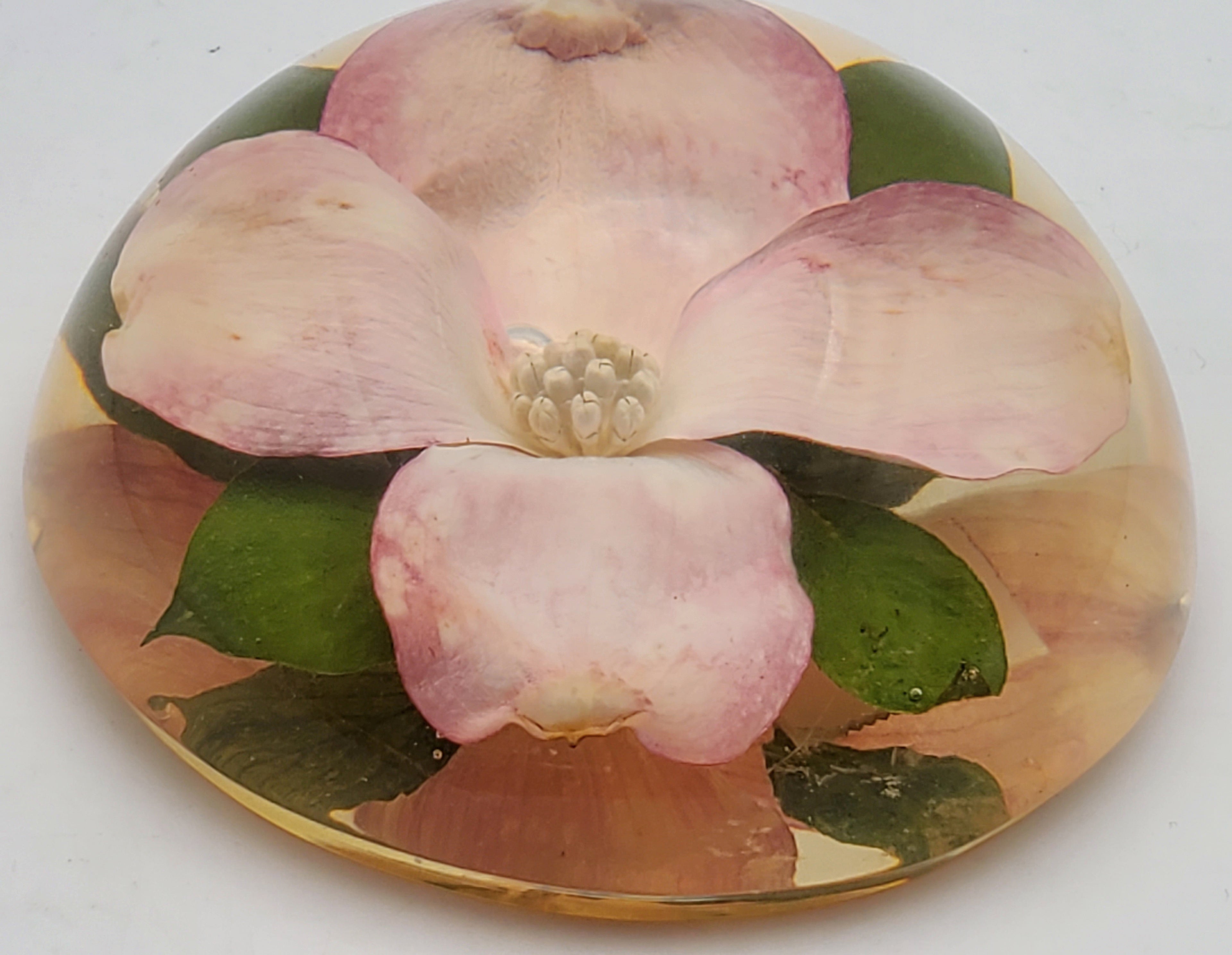 Vintage Dogwood Flower Encase in Resin Dome Paperweight