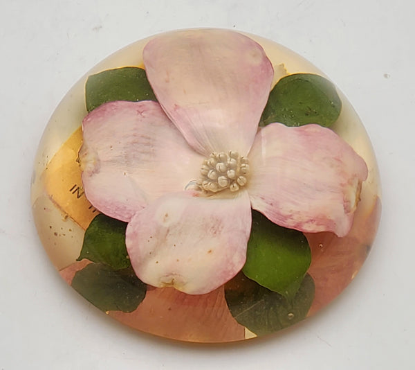 Vintage Dogwood Flower Encase in Resin Dome Paperweight
